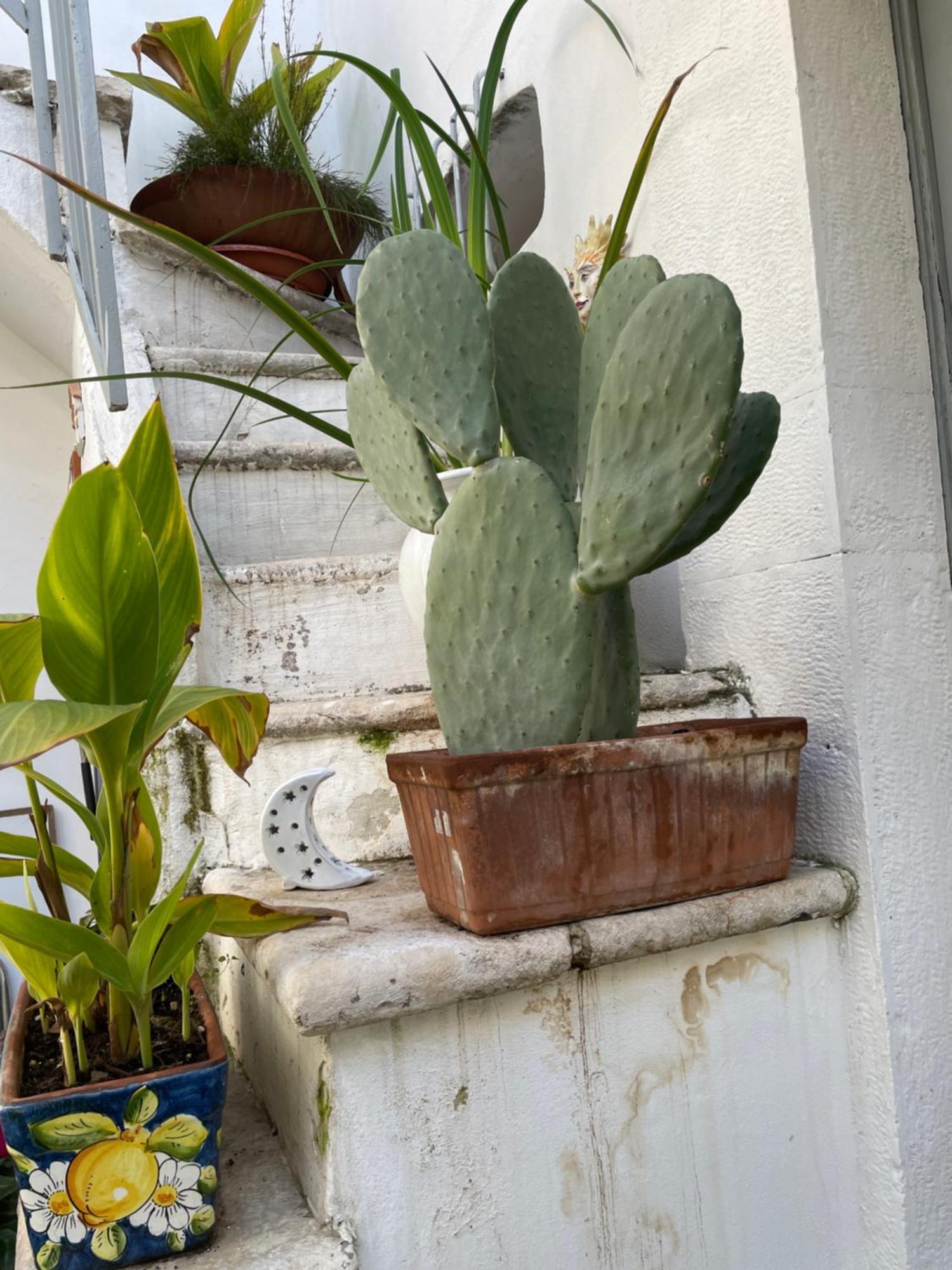Palazzo Siena De Facendis Bed & Breakfast Bitonto Luaran gambar